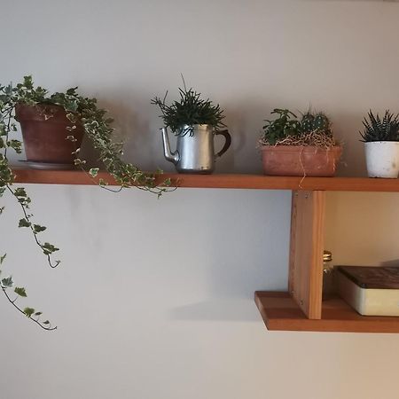 Appartamento La Dimora Della Fontana Mozzio Esterno foto